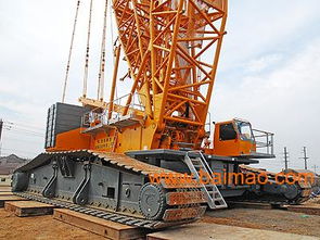 建筑工程中的关键力量 吊车与吊装工程的租赁服务与市场解析